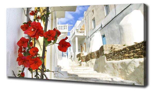 Imprimare tablou canvas Mykonos Grecia