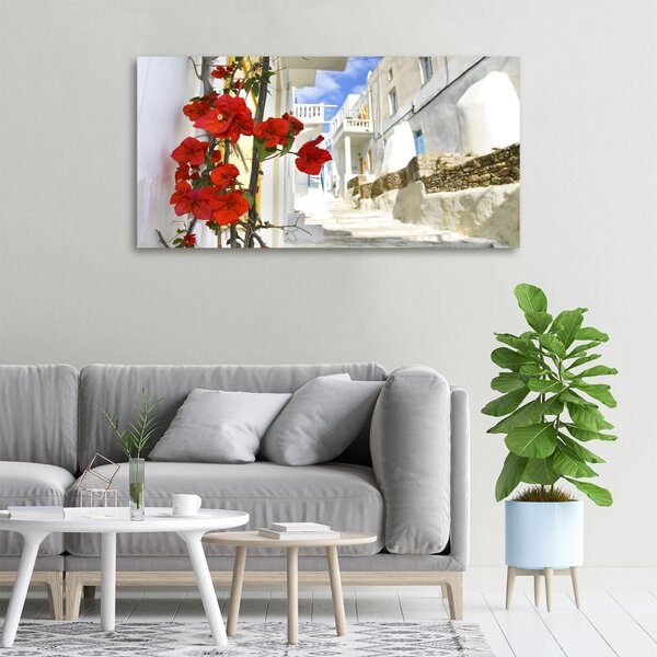 Imprimare tablou canvas Mykonos Grecia