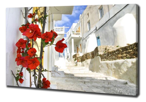 Imprimare tablou canvas Mykonos Grecia