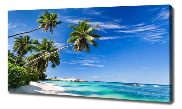 Tablou pe pânză canvas plaja tropicala