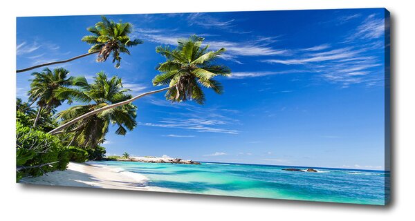 Tablou pe pânză canvas plaja tropicala