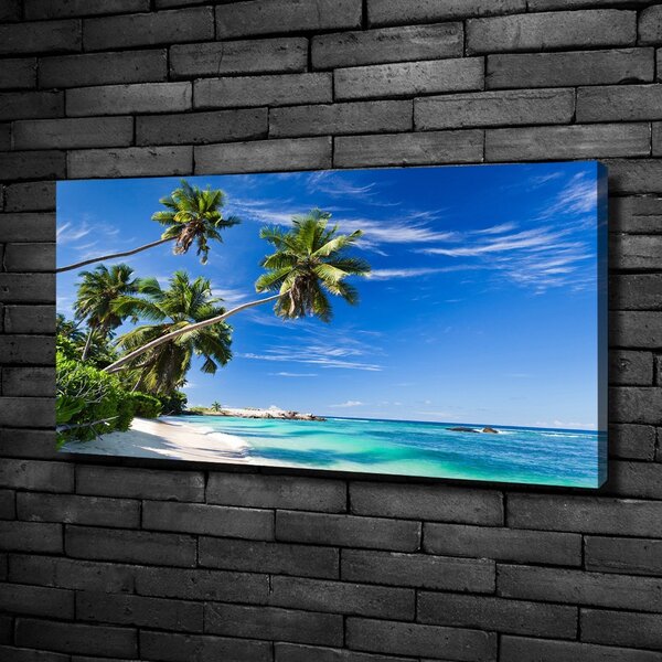 Tablou pe pânză canvas plaja tropicala