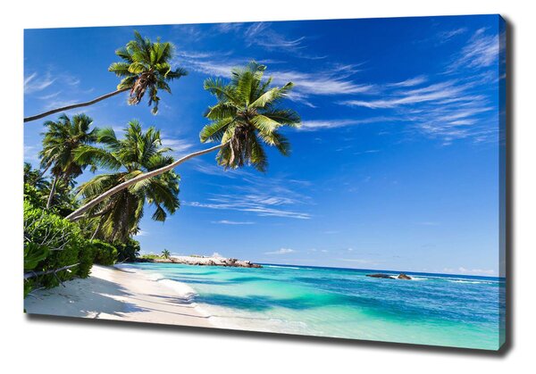 Tablou pe pânză canvas plaja tropicala