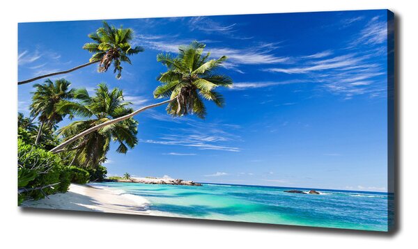 Tablou pe pânză canvas plaja tropicala