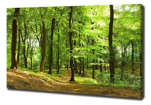 Tablou pe pânză canvas drum forestier