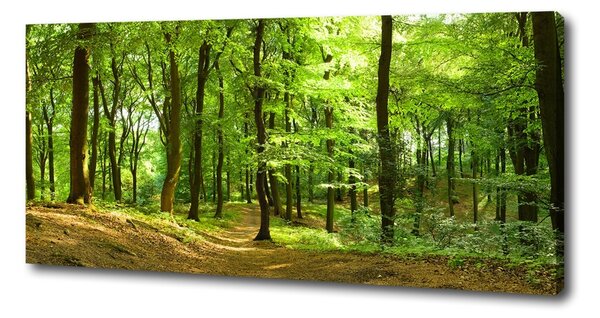 Tablou pe pânză canvas drum forestier
