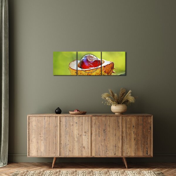 Tablou cu castani (cu ceas) (90x30 cm)
