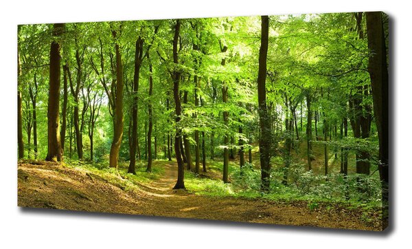 Tablou pe pânză canvas drum forestier