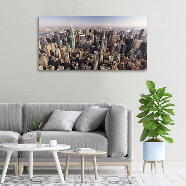 Tablou canvas New York pasăre de zbor