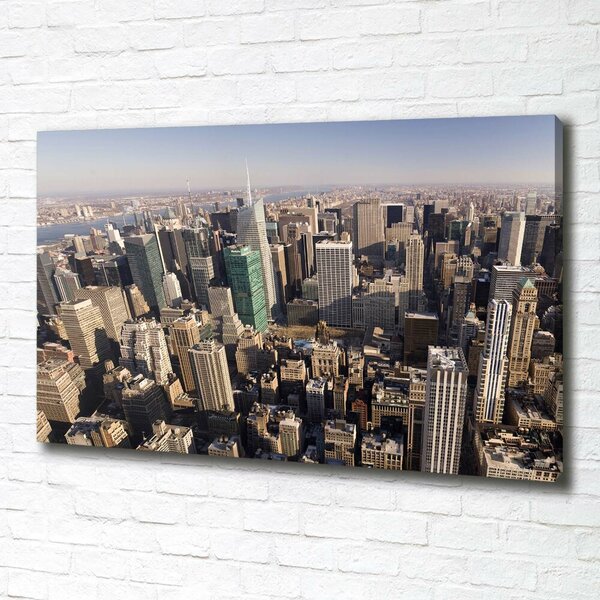 Tablou canvas New York pasăre de zbor