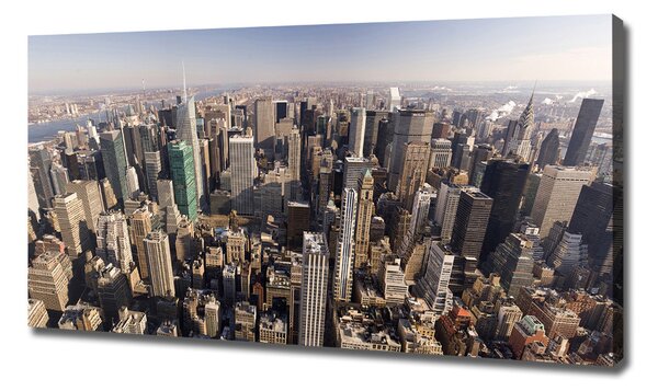 Tablou canvas New York pasăre de zbor
