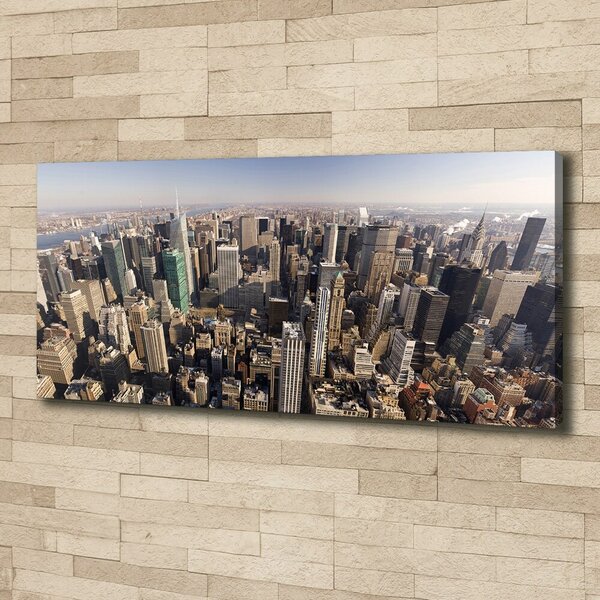 Tablou canvas New York pasăre de zbor