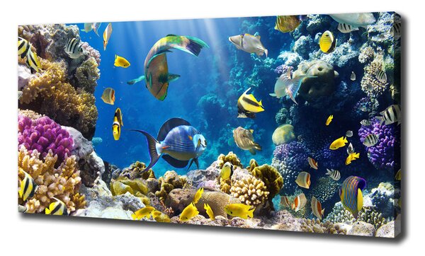 Print pe canvas recif de corali