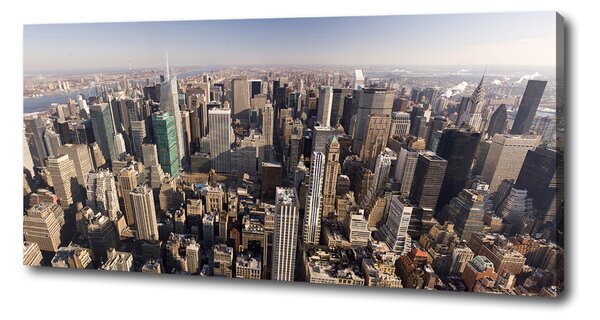 Tablou canvas New York pasăre de zbor