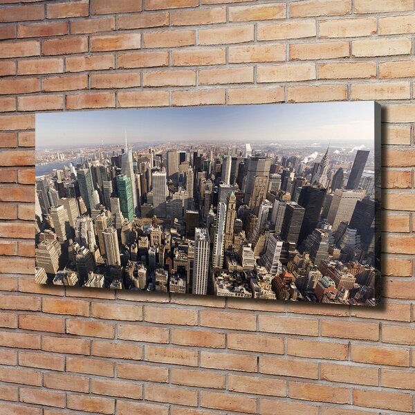 Tablou canvas New York pasăre de zbor
