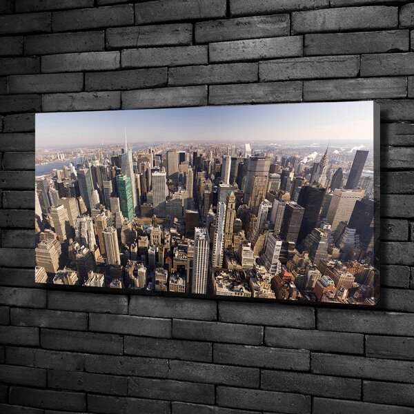 Tablou canvas New York pasăre de zbor