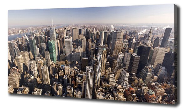 Tablou canvas New York pasăre de zbor