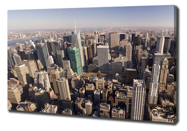 Tablou canvas New York pasăre de zbor