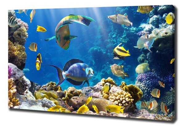 Print pe canvas recif de corali