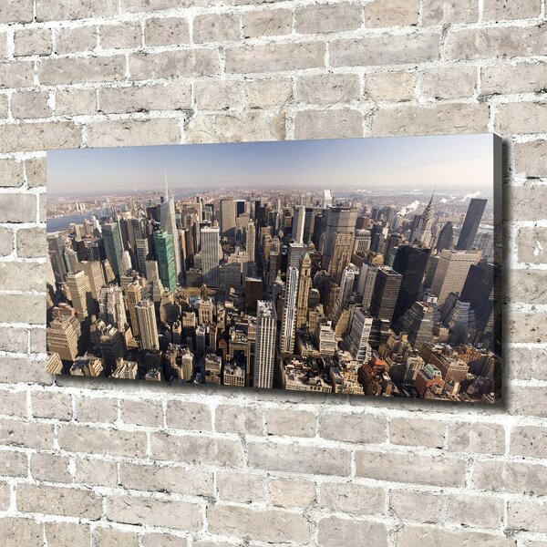 Tablou canvas New York pasăre de zbor