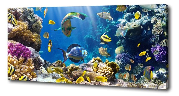 Print pe canvas recif de corali