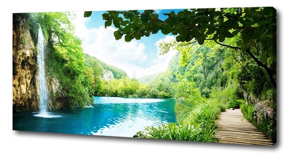 Tablou canvas Cascada din pădure