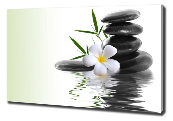 Print pe canvas pietre zen