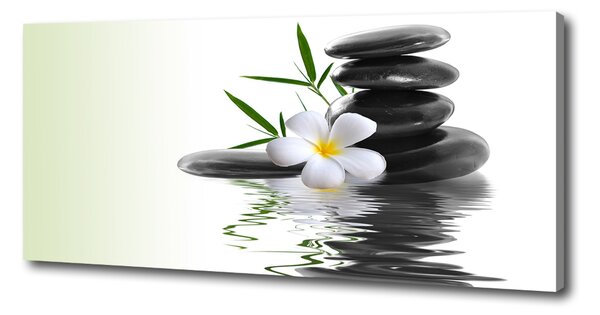 Print pe canvas pietre zen