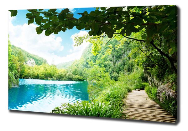 Tablou canvas Cascada din pădure