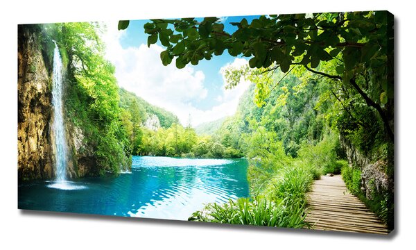 Tablou canvas Cascada din pădure