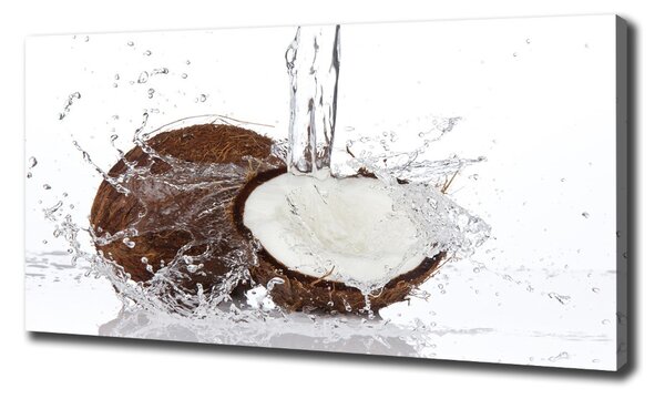 Pictură pe pânză nucă de cocos