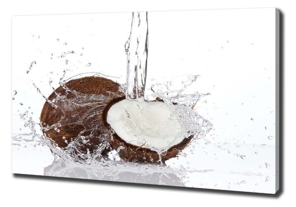 Pictură pe pânză nucă de cocos