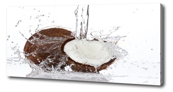 Pictură pe pânză nucă de cocos