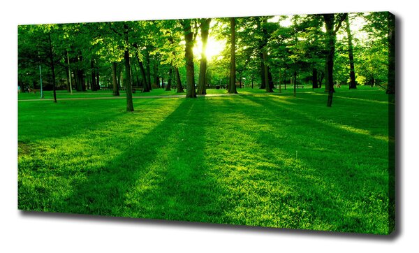 Tablou pe pânză Iarba în parc