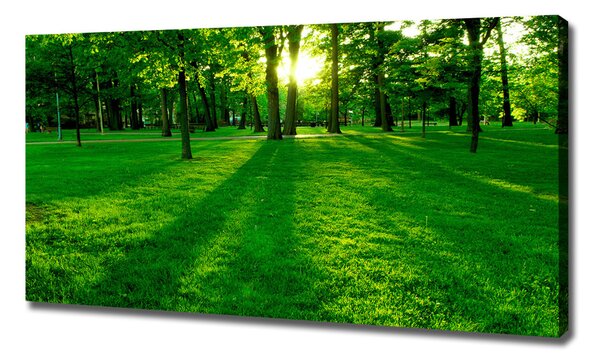 Tablou pe pânză Iarba în parc