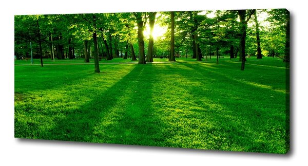 Tablou pe pânză Iarba în parc