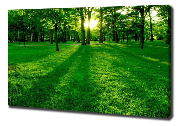 Tablou pe pânză Iarba în parc