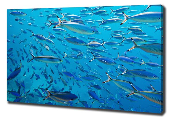 Print pe canvas pește Coral
