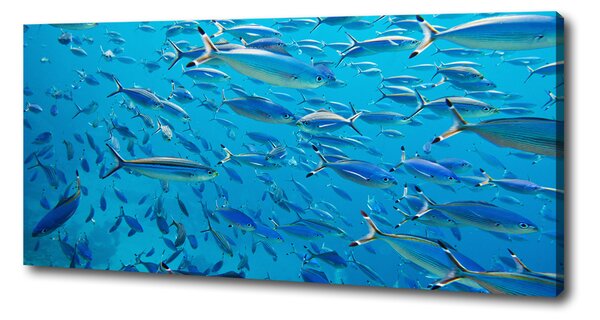 Print pe canvas pește Coral