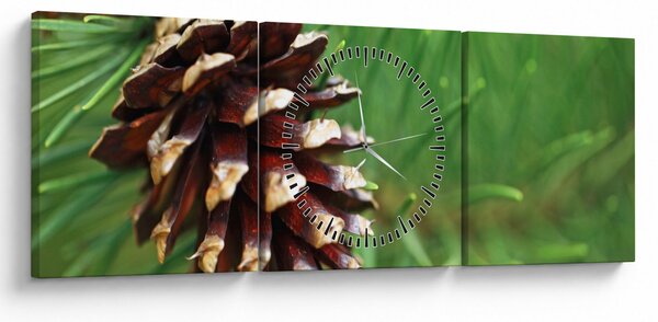 Tablou cu con (cu ceas) (90x30 cm)
