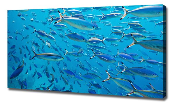 Print pe canvas pește Coral