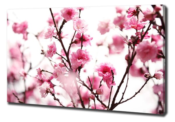 Tablou canvas prune