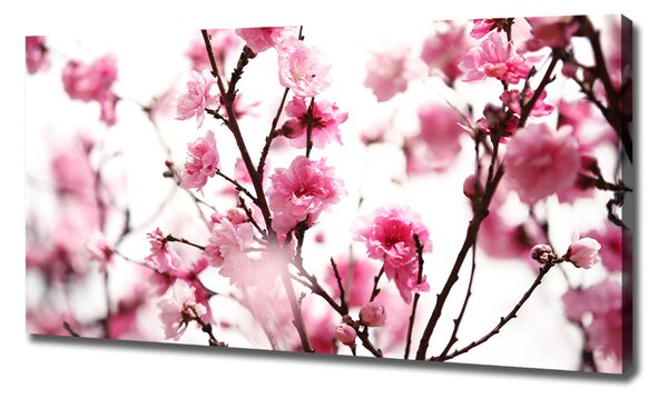 Tablou canvas prune