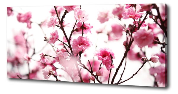 Tablou canvas prune