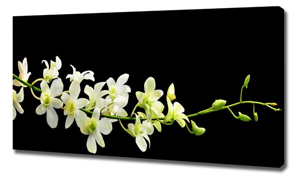 Imprimare tablou canvas Orhidee