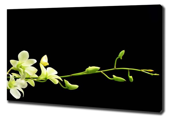Imprimare tablou canvas Orhidee