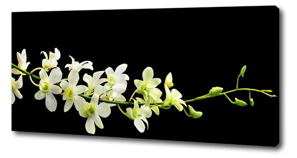 Imprimare tablou canvas Orhidee