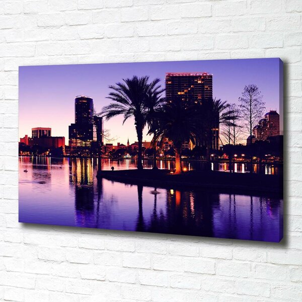 Imprimare tablou canvas Orlando, Statele Unite ale Americii