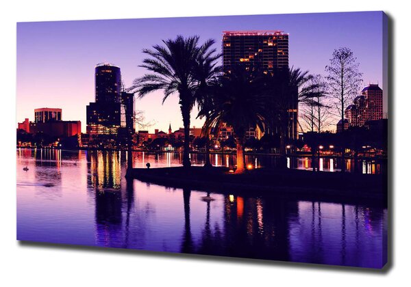 Imprimare tablou canvas Orlando, Statele Unite ale Americii