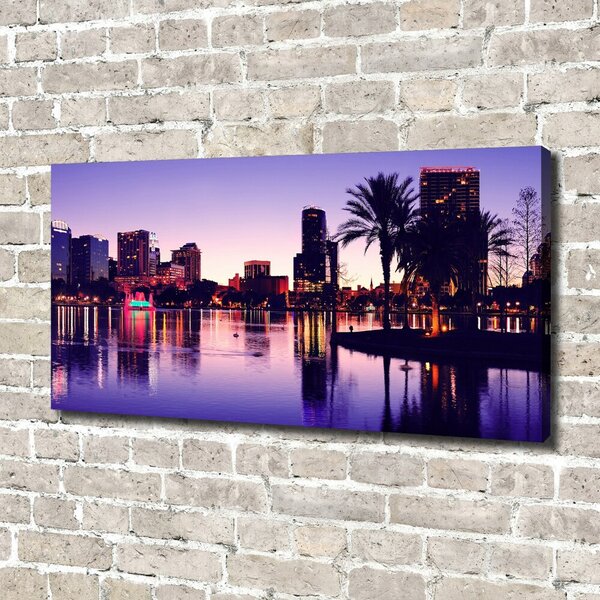Imprimare tablou canvas Orlando, Statele Unite ale Americii